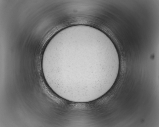 X0000114530890200911301136