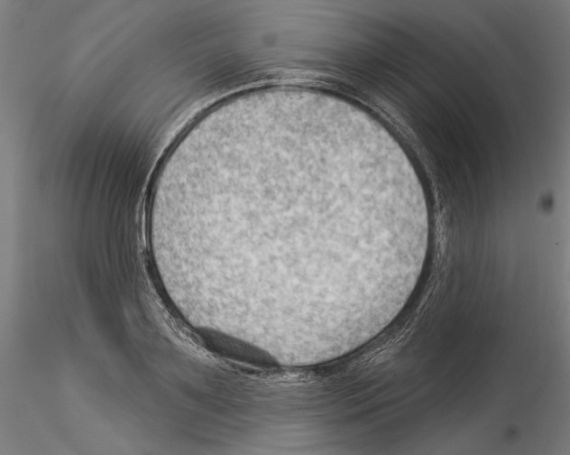 X0000114530891200911301136