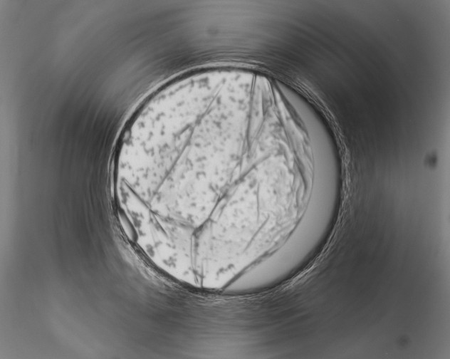 X0000114530892200911301136