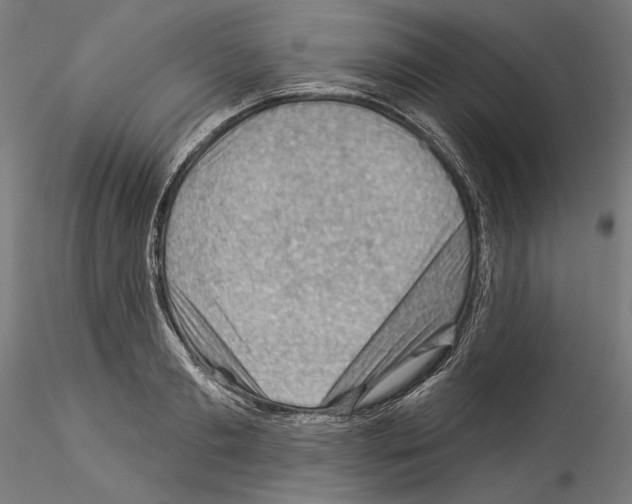 X0000114530893200911301136