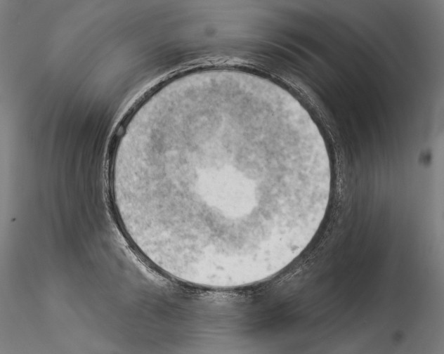 X0000114530894200911301136