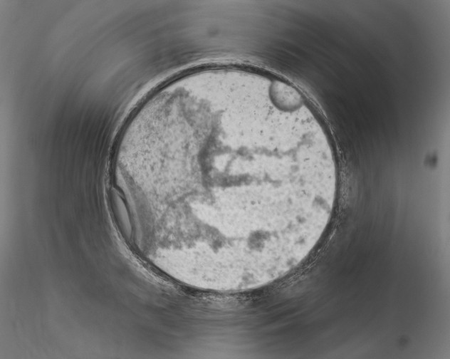 X0000114530895200911301136