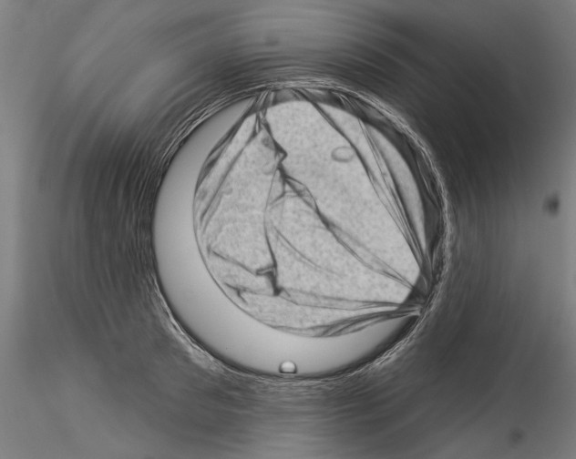 X0000114530897200911301136