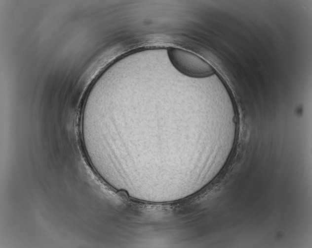 X0000114530901200911301136