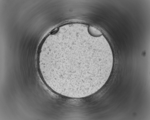 X0000114530902200911301136