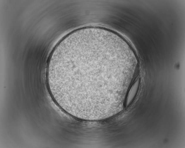 X0000114530903200911301136