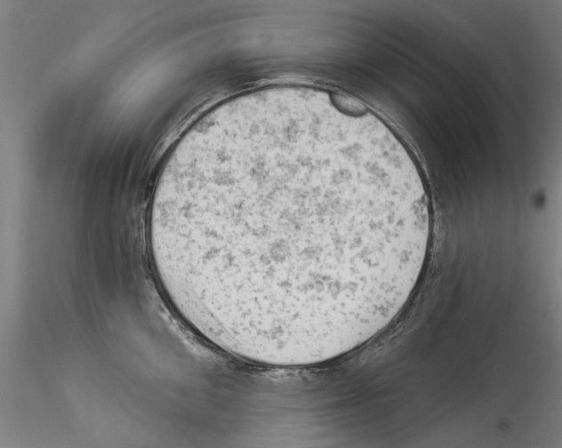 X0000114530906200911301136