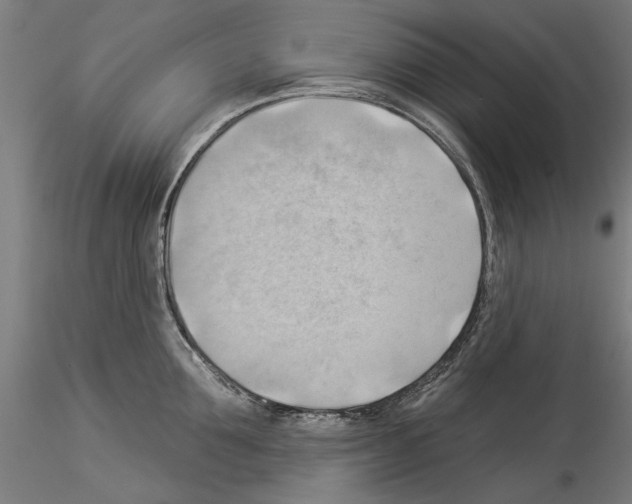 X0000114530907200911301136