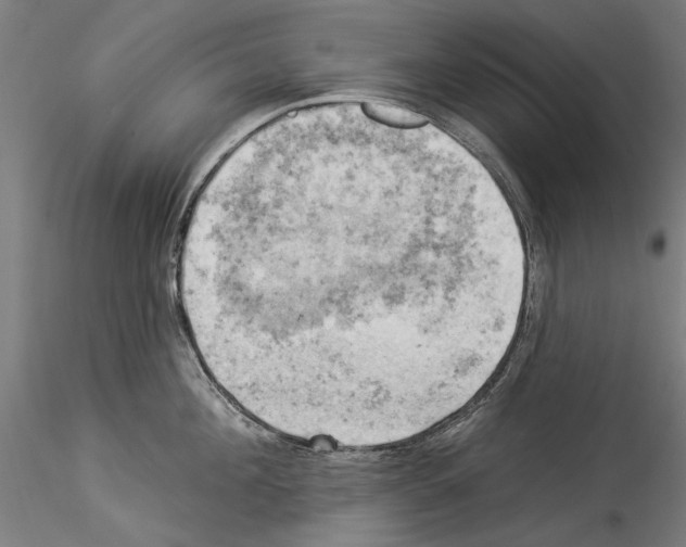 X0000114530908200911301136