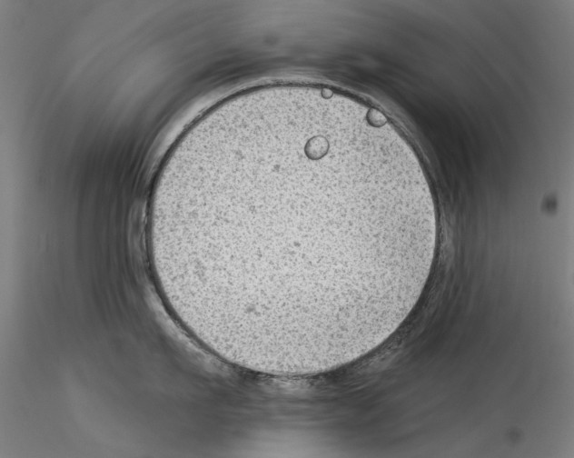 X0000114530911200911301136