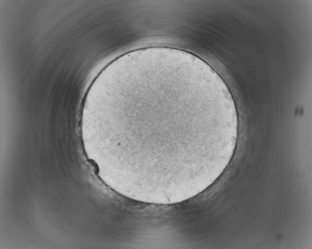 X0000114530912200911301136