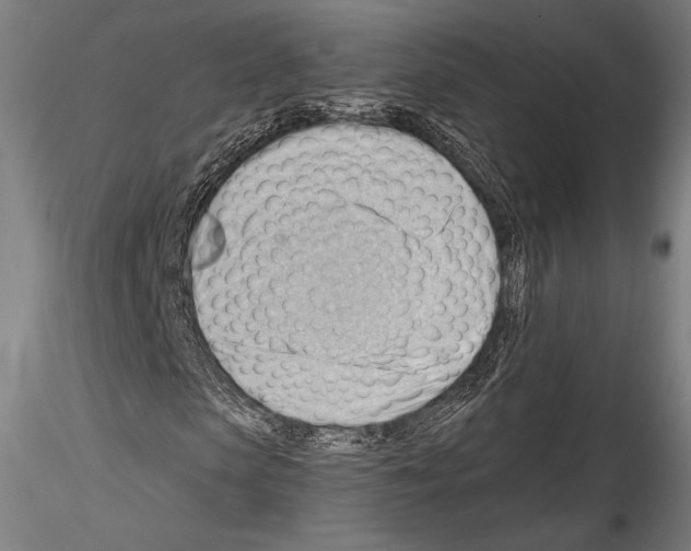 X0000114530913200911301135