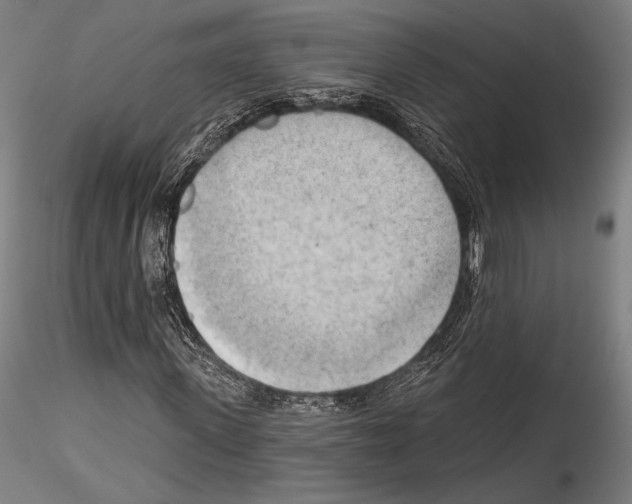 X0000114530915200911301135