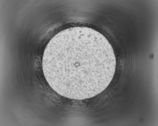 X0000114530918200911301135