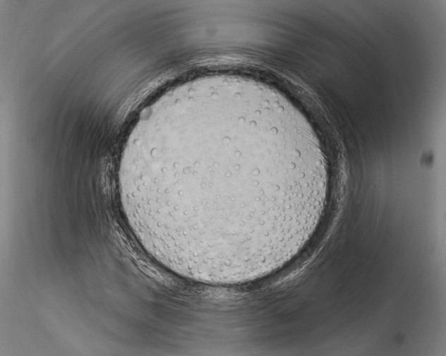 X0000114530921200911301135