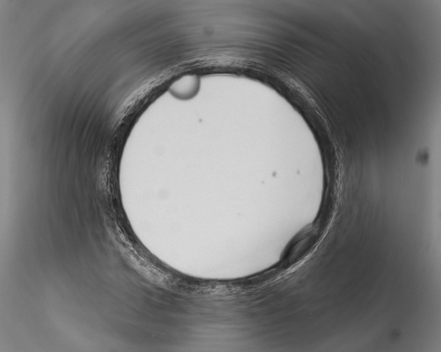 X0000114530922200911301135