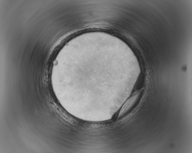 X0000114530923200911301135