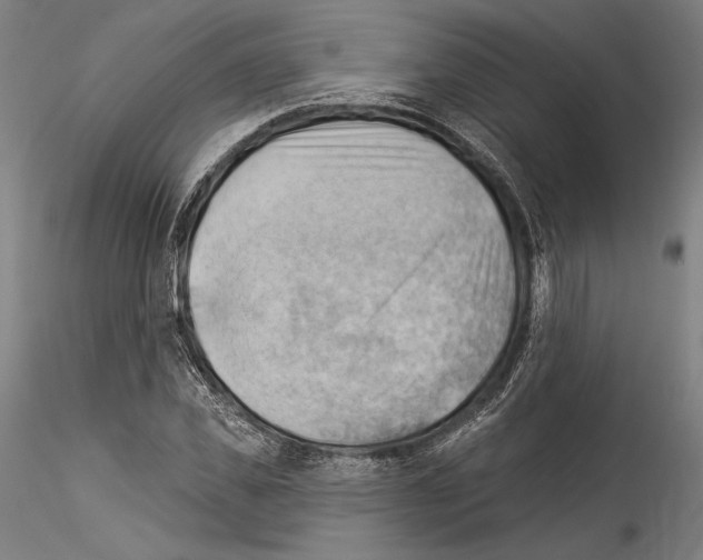 X0000114530925200911301135