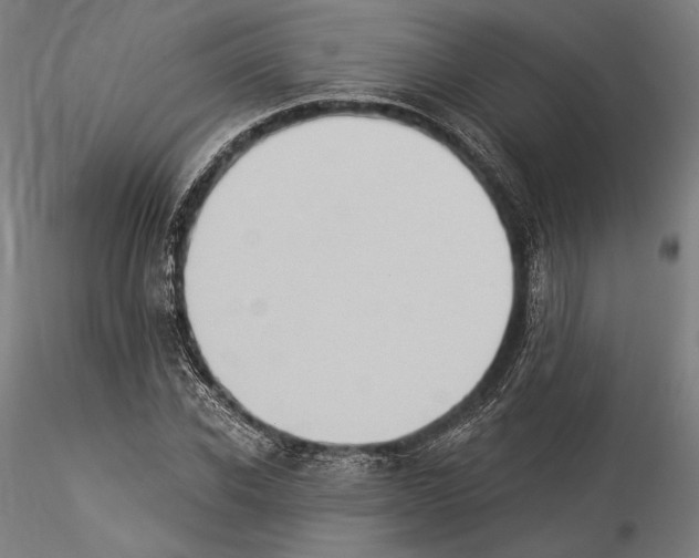 X0000114530926200911301135