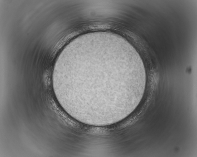 X0000114530929200911301135