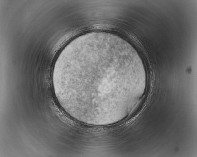 X0000114530930200911301135