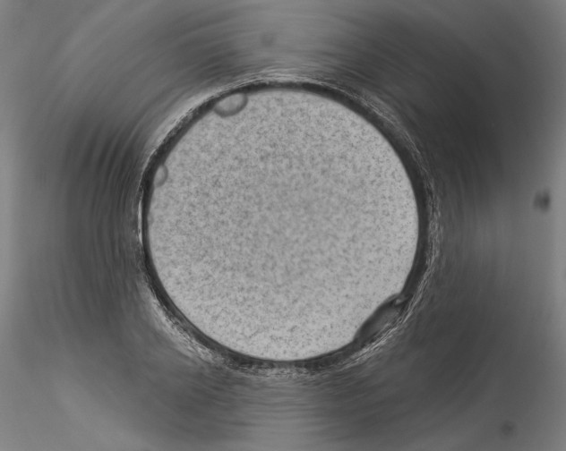 X0000114530934200911301135