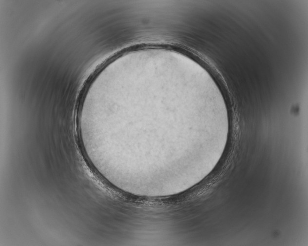 X0000114530935200911301135