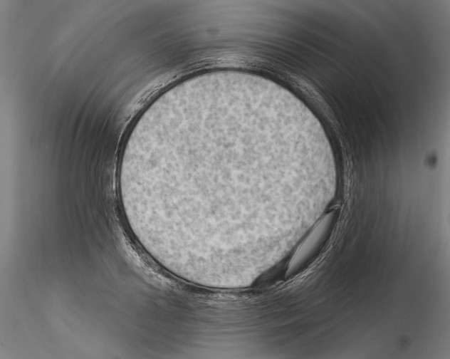 X0000114530938200911301135