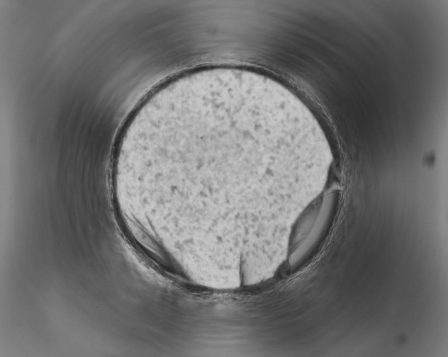 X0000114530942200911301135