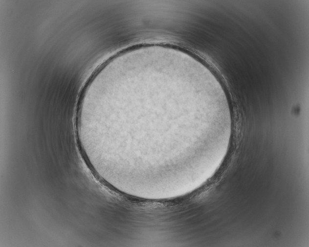 X0000114530943200911301135