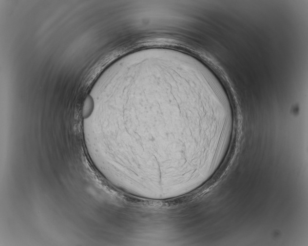 X0000114530945200911301135