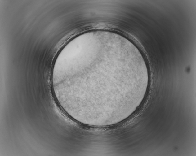 X0000114530946200911301135