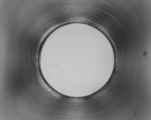 X0000114530947200911301135