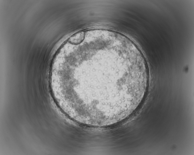 X0000114530949200911301135