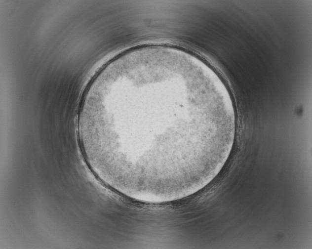 X0000114530951200911301135