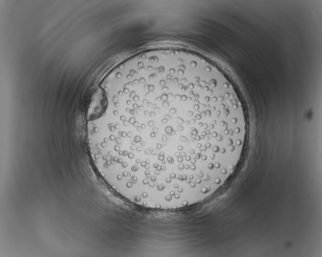 X0000114530953200911301135