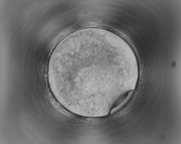 X0000114530954200911301135