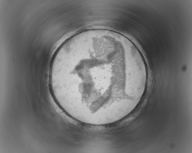 X0000114530957200911301135