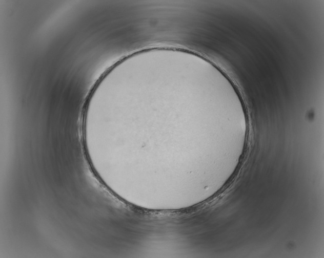 X0000114530958200911301136