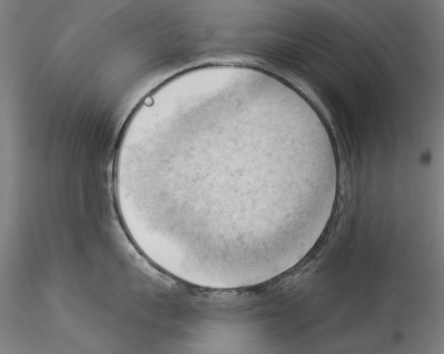 X0000114530959200911301136