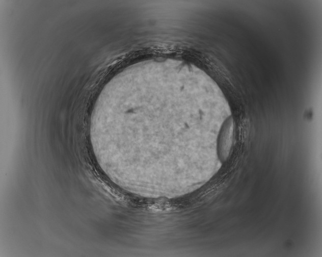 X0000114530961200911301135