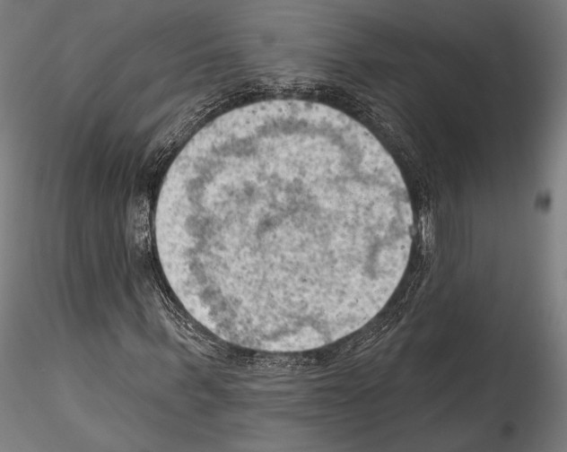 X0000114530963200911301135