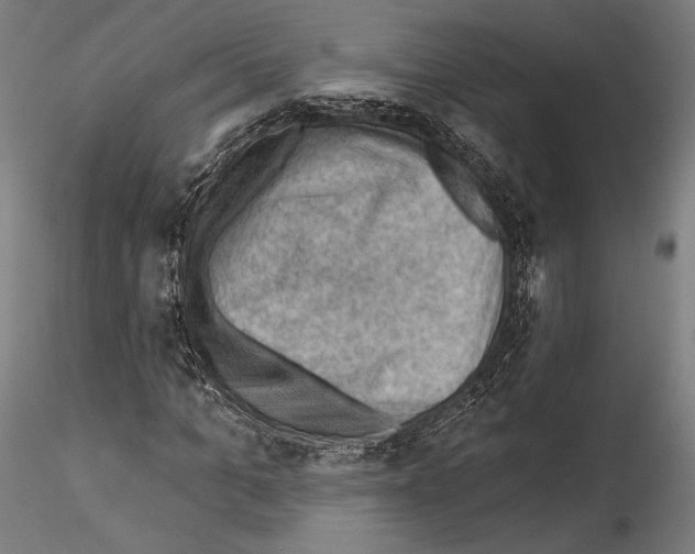 X0000114530965200911301135