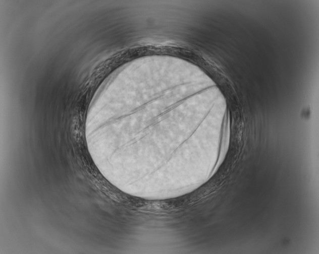 X0000114530966200911301135