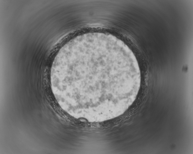 X0000114530968200911301135