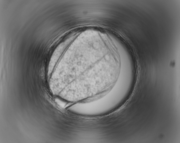 X0000114530969200911301135