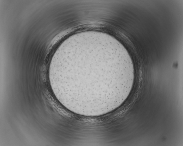 X0000114530970200911301135