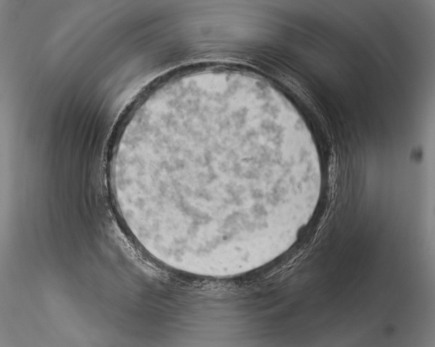 X0000114530972200911301135