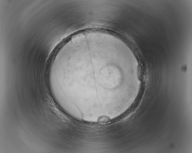 X0000114530973200911301135