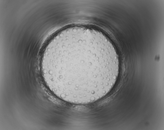 X0000114530974200911301135